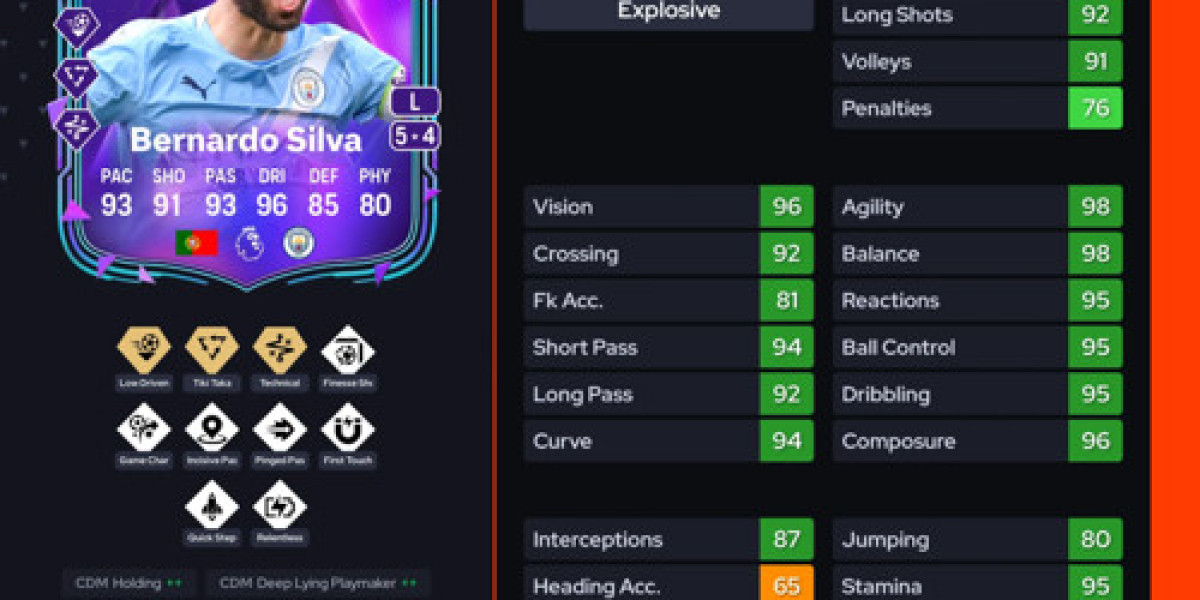 DCE Bernardo Silva Premium : solutions et prix