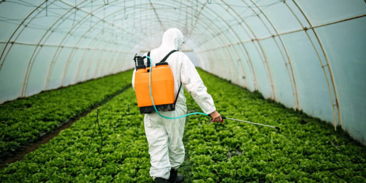Pest Control Service in Ranchi & Ant Control Service in Ranchi: Complete Guide to a Cleaner, Safer Home