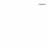 singlefamilyoffice Dubai Profile Picture