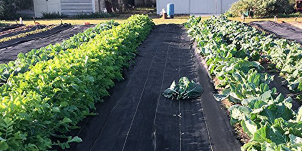 How Heavy Duty Ground Covers Protect Soil From Nasty Weeds